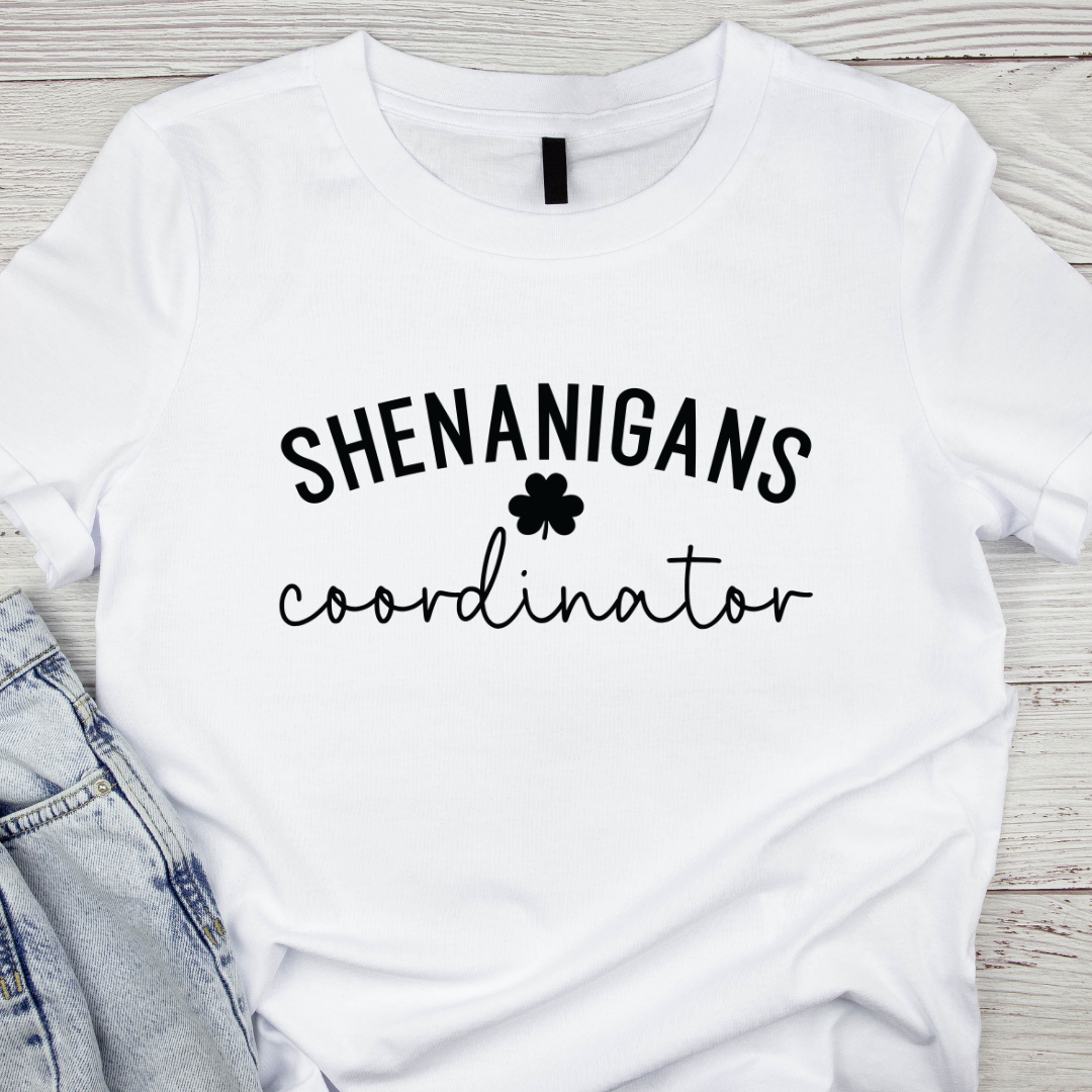 Shenanigans coordinator transfer (IRON ON TRANSFER SHEET ONLY)