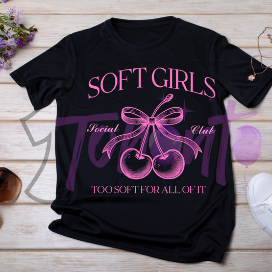 Soft girls DFT TRANSFER (IRON ON TRANSFER SHEET ONLY)